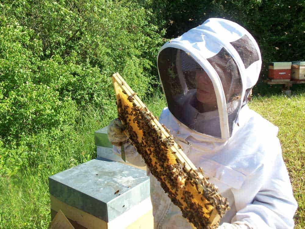 galerie apicultrice Miels et Saveurs des Vosges