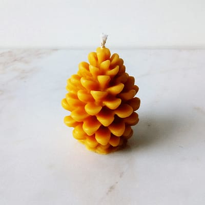 bougie pomme de pin