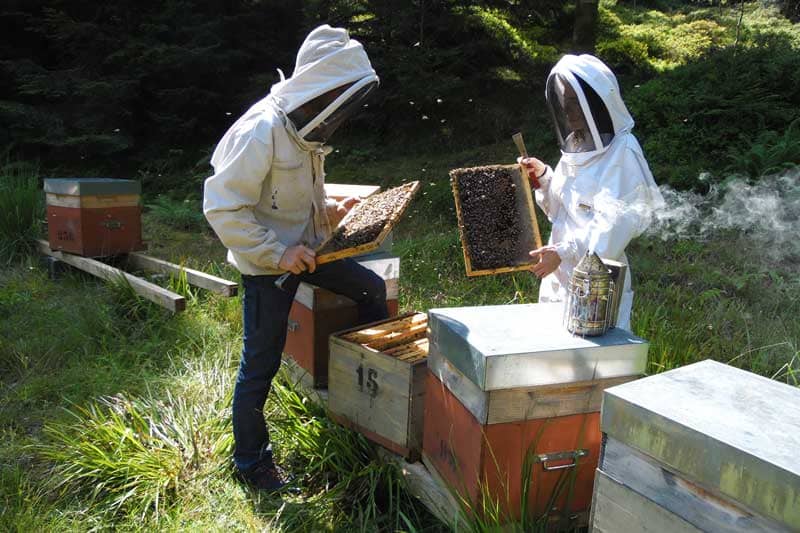 apiculteurs vosges
