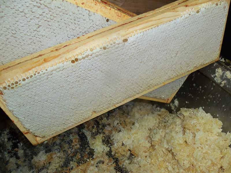 bougie en cire d'abeille miels et saveurs