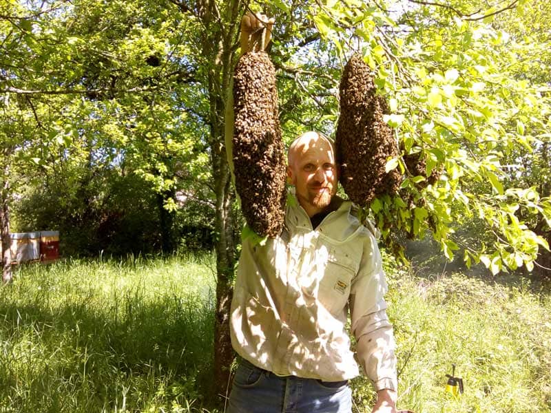 gaël volland apiculteur dans les Vosges