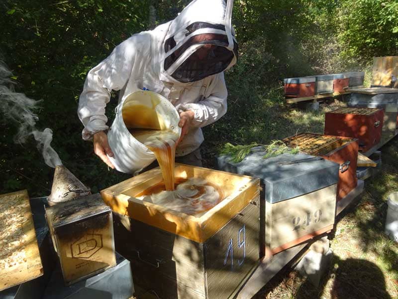 apiculteur vosges