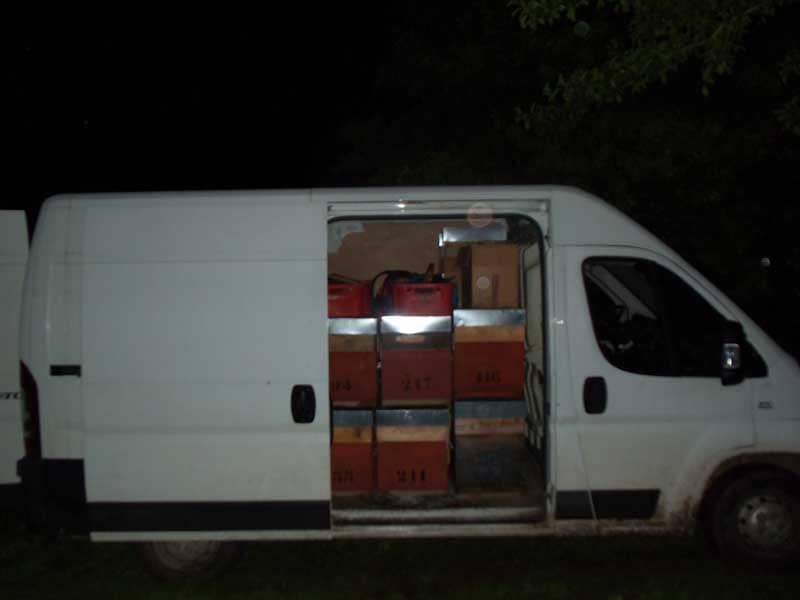 transhumance de nuit