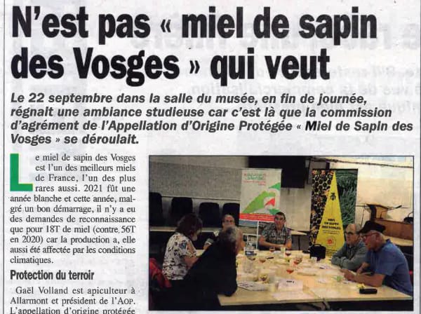 Actualités 2022 sur l'AOP Miel de sapin des Vosges