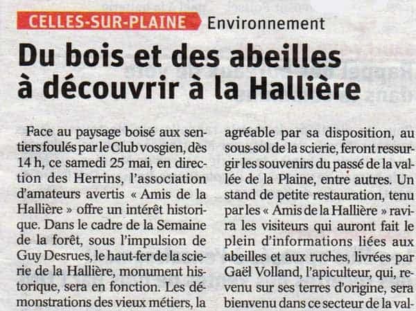 Du bois et des abeilles
