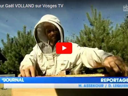 Gaël Volland sur Vosges TV